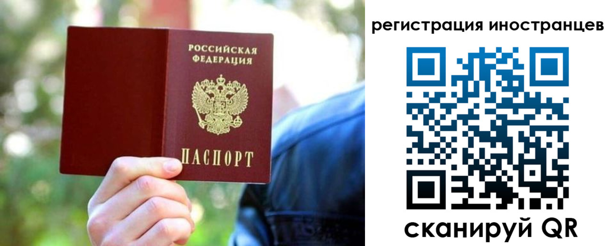 временная регистрация поиск в Чистополье
